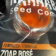 Zoap Rose