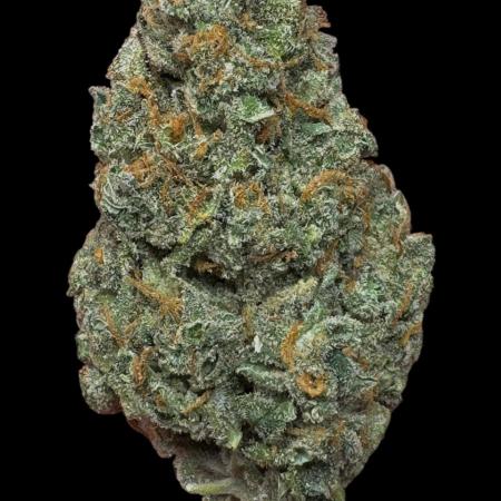 Ak-47 XL auto