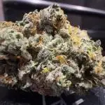 LSO:Purple punch Auto