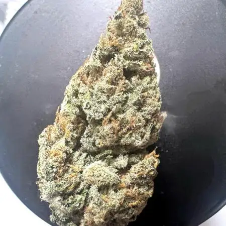 2x Futur #1 Auto