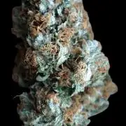 Sour Diesel