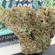 Sunset Sherbet Go Fast