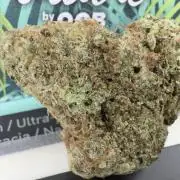 Sunset Sherbet Go Fast