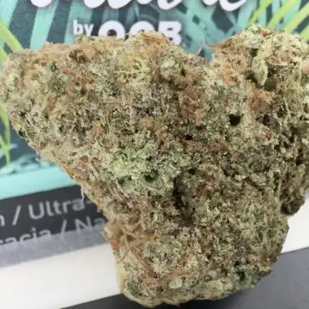 Sunset Sherbet Go Fast