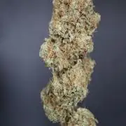 Pure skunk Go Fast