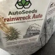Trainwreck 002
