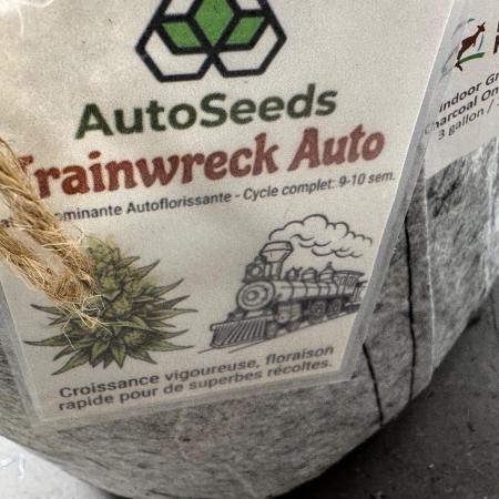 Trainwreck 002