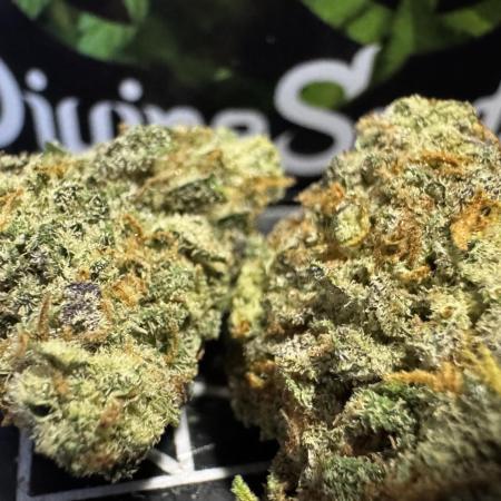 Divine Rapier Auto #3