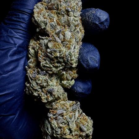 Moon Rock auto #2