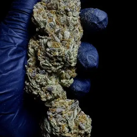 Moon Rock auto #2