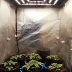 URBAN POISON, GreenWay Solutions INT.