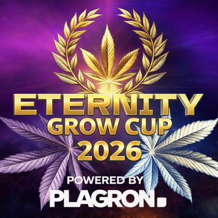 Sticky Broccoli ,Zamnesia.