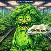 Sticky Broccoli ,Zamnesia.