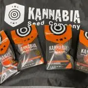 Kannabia Seed Company