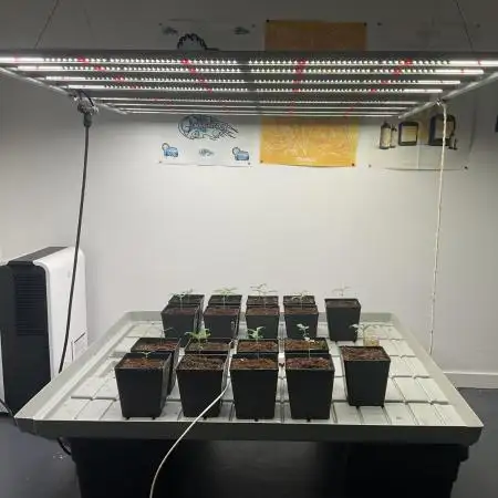 Green House Seed Co.