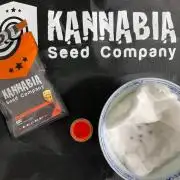 Kannabia GSC