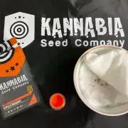 Apple & Banana