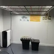 Strain Hunters GHS Co..