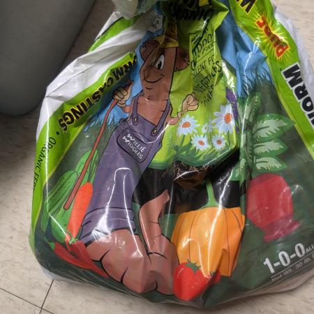 Mr. Haney screen of green