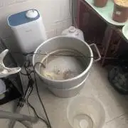 Mr. Haney screen of green