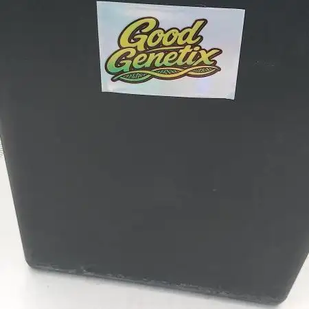 Triple G Automatic
