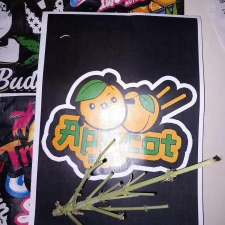 TPB Miki's Apricot Cannabonsai