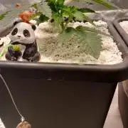 Orange Bud 2.0 Dutch Passion