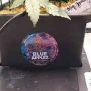 Blue Applez Dutch Passion