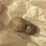 Runtz from Seed to IcewaterHash