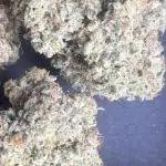 Black Cherry Gushers