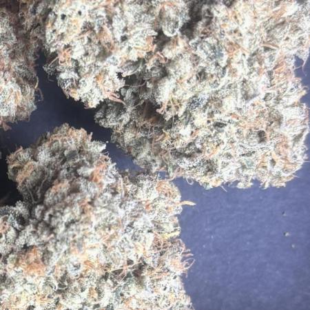 Black Cherry Gushers