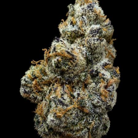 New Money Compound Genetics Flo/IWH