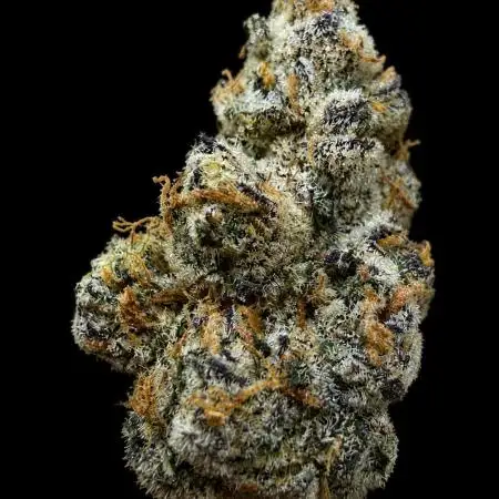 New Money Compound Genetics Flo/IWH