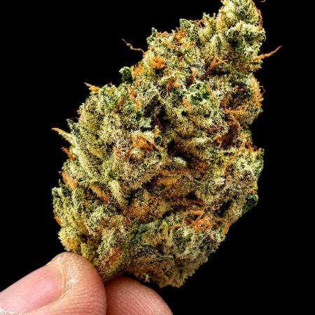 Exodus Cheese