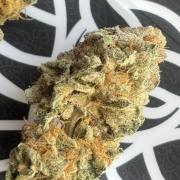 Orange Bud 2.0