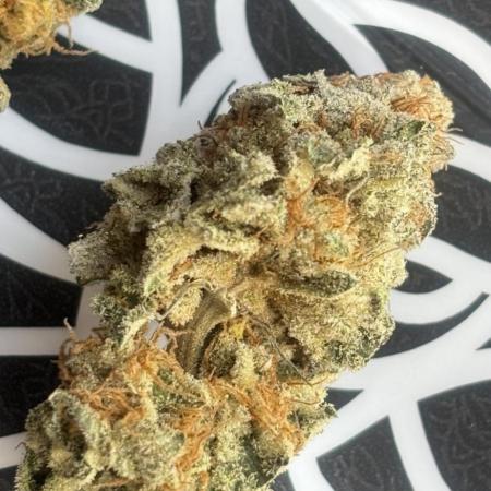 Orange Bud 2.0