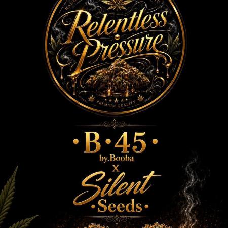 B•45 by Booba