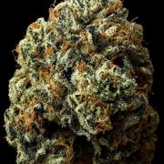 Black Cherry Gushers