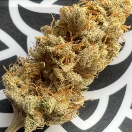 Purple Mango Kush