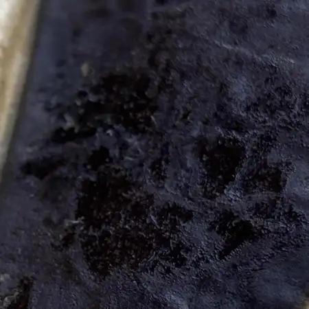 Monster Maker Temple Hash