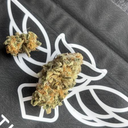 Orange Bud 2.0