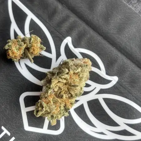 Orange Bud 2.0