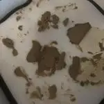 Runtz from Seed to IcewaterHash