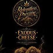The Real Exodus