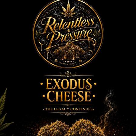 The Real Exodus
