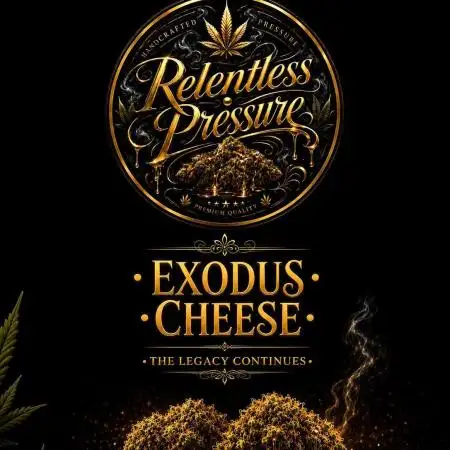 The Real Exodus