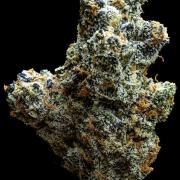 New Money Compound Genetics Flo/IWH