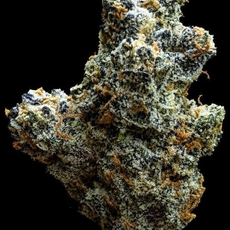 New Money Compound Genetics Flo/IWH