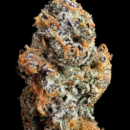 New Money Compound Genetics Flo/IWH