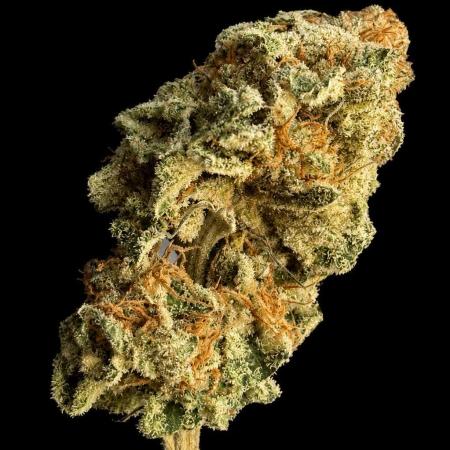 Orange Bud 2.0